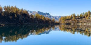 Daugiau nei trečdalyje Europos privataus kapitalo, rizikos kapitalo įmonės turi EMS